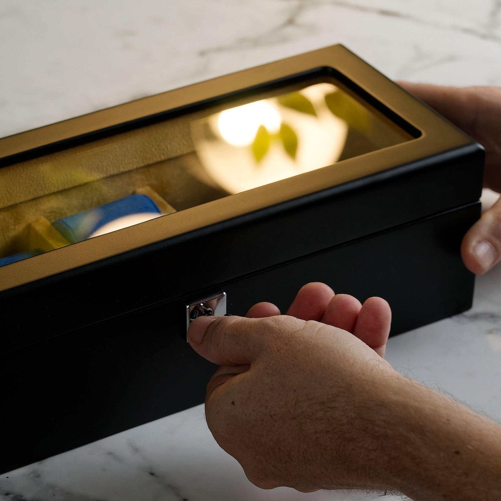 Monte Carlo 5-Slot Collector Box - Classic Black